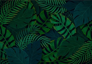 nature backgrounds